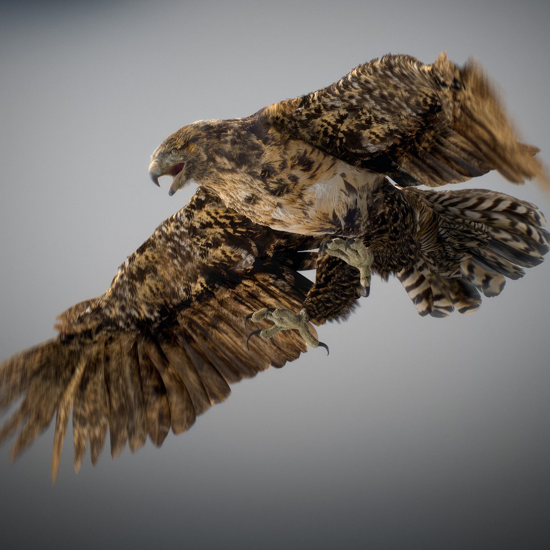 3D Animated Hawk https://p.turbosquid.com/ts-thumb/9p/fXuyRF/77/hawk03/jpg/1789378562/1920x1080/fit_q87/87611c1ea7df855f3ecee2d760698109b0f49a3d/hawk03.jpg
