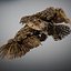 Animated Hawk
