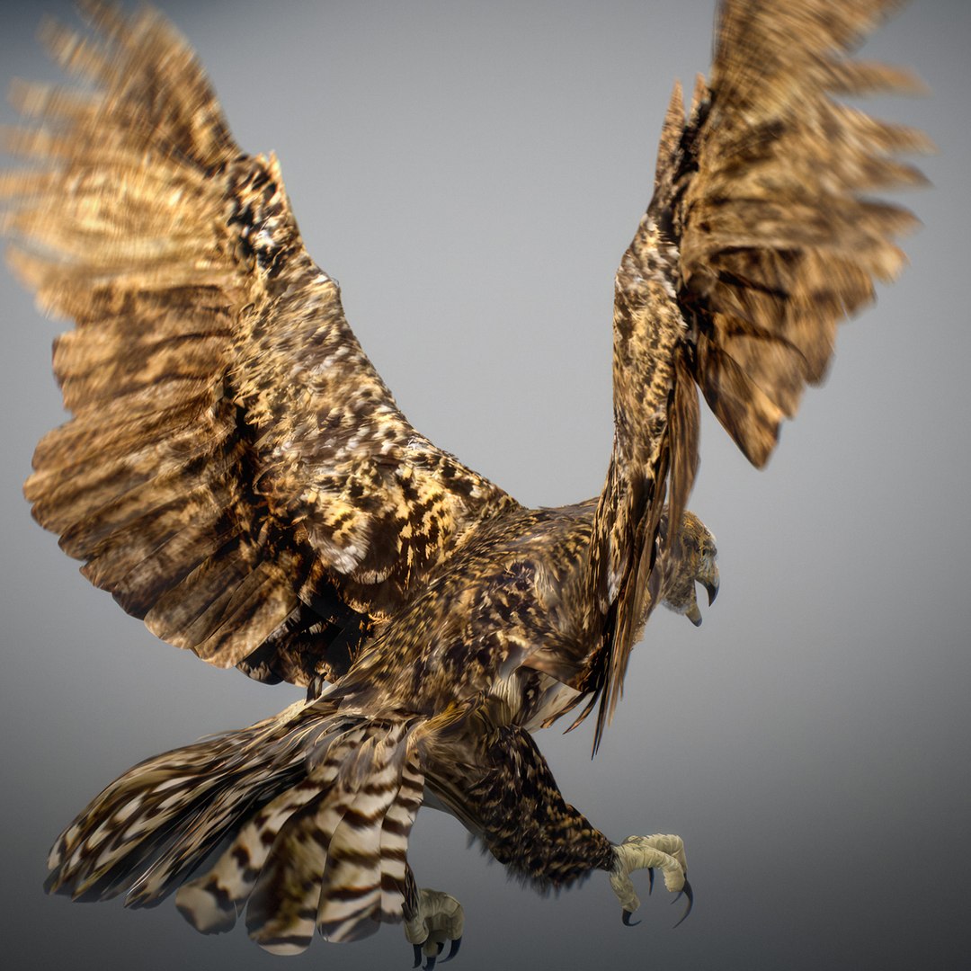 3D Animated Hawk https://p.turbosquid.com/ts-thumb/9p/fXuyRF/7g/hawk23/jpg/1789378574/1920x1080/fit_q87/1192d89d82baf4c28af76254d7e6d03b6dafb66e/hawk23.jpg