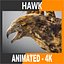 Animated Hawk