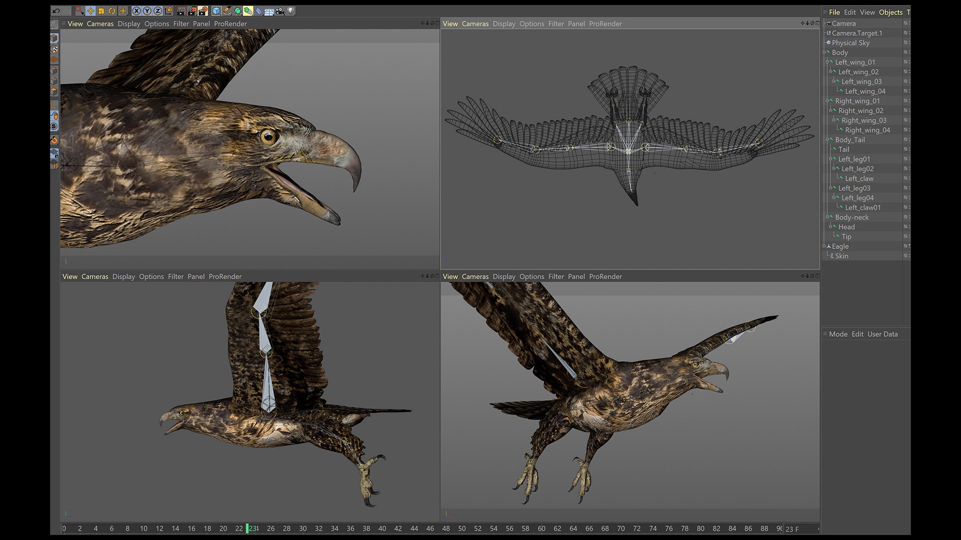 3D Animated Hawk https://p.turbosquid.com/ts-thumb/9p/fXuyRF/Qi/hawk08/jpg/1789378564/1920x1080/fit_q87/b2bda19179d86fd05043cea8c07bfb8bcf1421ef/hawk08.jpg