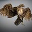 Animated Hawk