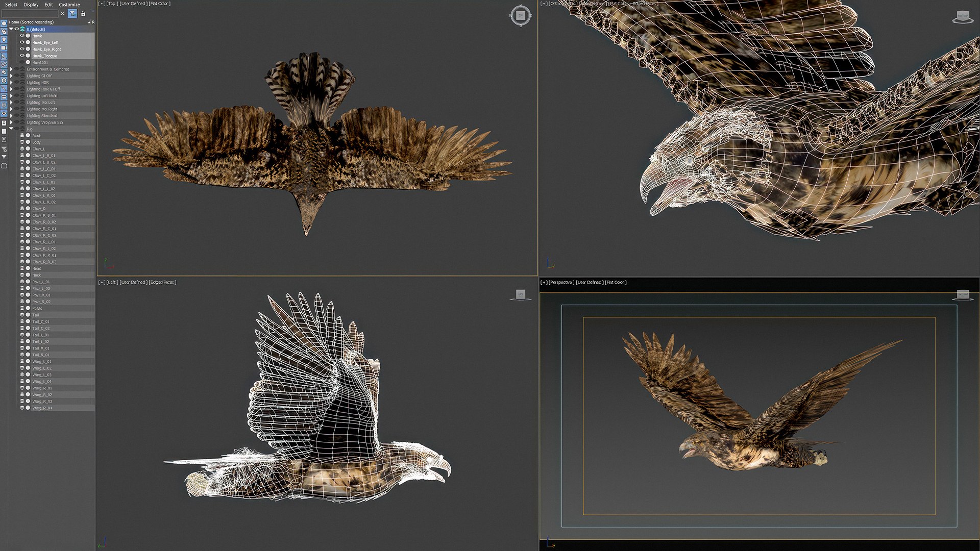 3D Animated Hawk https://p.turbosquid.com/ts-thumb/9p/fXuyRF/Ts/hawk05/jpg/1789378563/1920x1080/fit_q87/2c86e411fd8ac795883225a92caa33517de2c74c/hawk05.jpg
