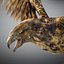 Animated Hawk