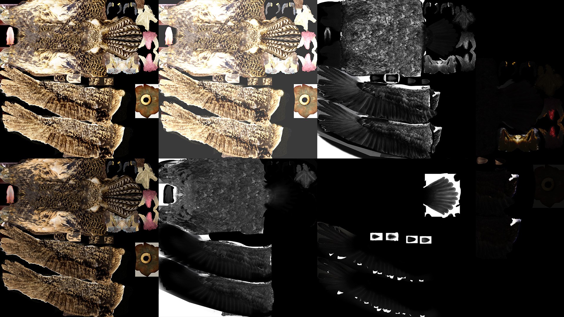 3D Animated Hawk https://p.turbosquid.com/ts-thumb/9p/fXuyRF/Yd/hawk09c/jpg/1789378566/1920x1080/fit_q87/15052d0e61b796a4654928cf372caabe2d905571/hawk09c.jpg