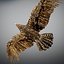 Animated Hawk