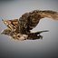 Animated Hawk