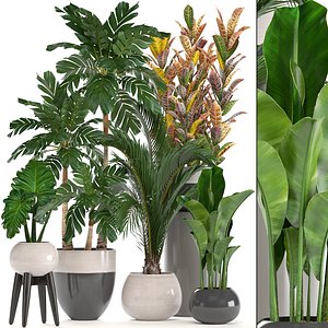 3D ornamental plants pots model