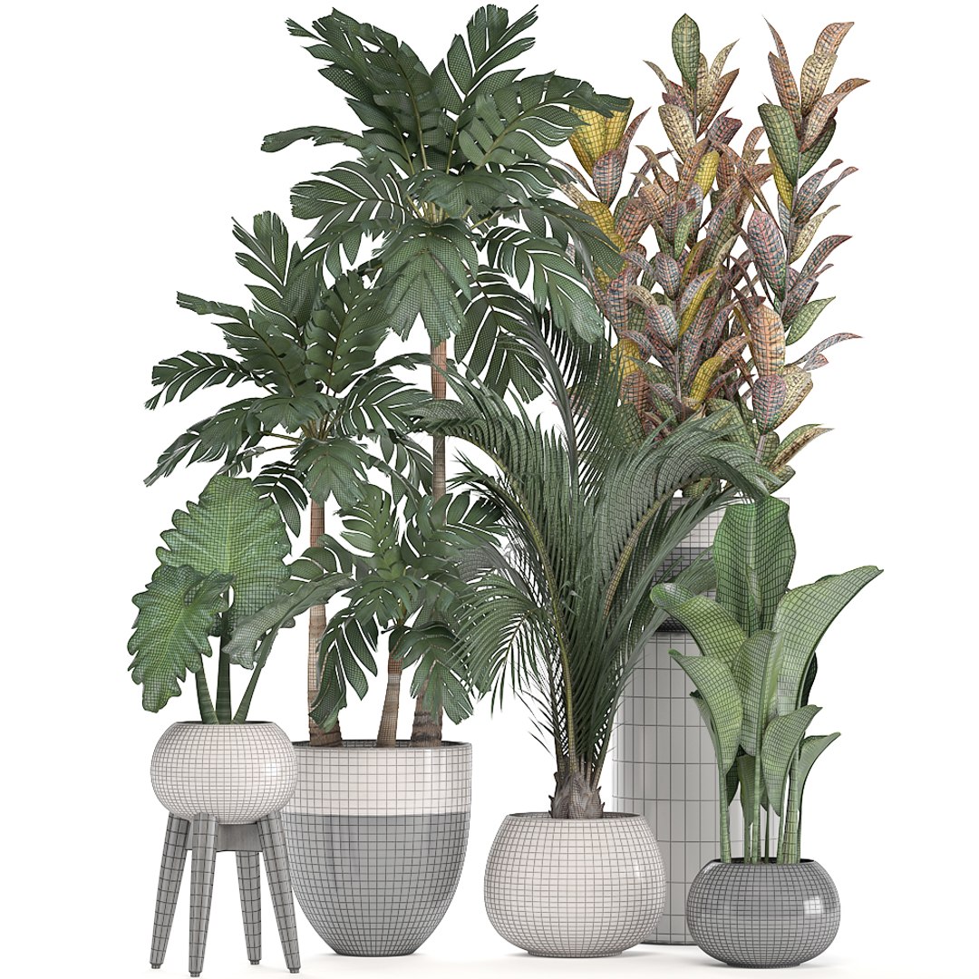 3d Ornamental Plants Pots Model - Turbosquid 1310884