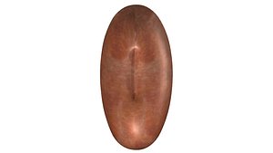 Bean cotyledons