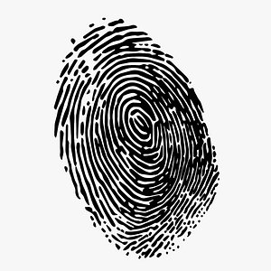 fbx fingerprint print finger