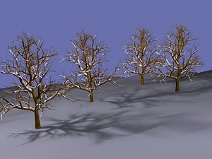 Winter trees.lwo