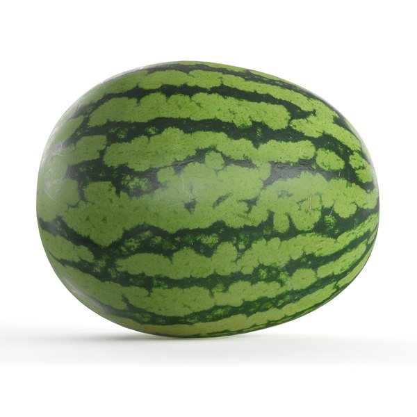 Fresh Watermelon 3D Model model