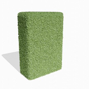 Buxus Hedge 03 3D model