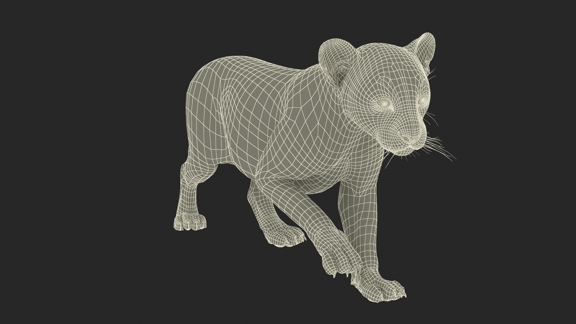3D Panther Cub Wary Pose Fur for Maya model https://p.turbosquid.com/ts-thumb/9q/FaNblU/FO/panther_cub_wary_pose_fur_361/jpg/1746067045/1920x1080/turn_fit_q99/711c7ea93dbf4b68d93945686b19cb5575955a04/panther_cub_wary_pose_fur_361-1.jpg