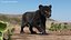 Panther Cub Wary Pose Fur for Maya