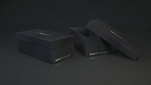 shoe box ecco 3D