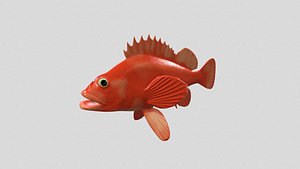 Fish Sebastes aleutianus