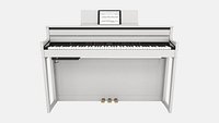 Roland  010