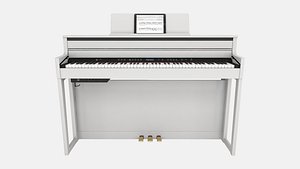 Roland 010
