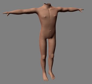 male human torso 3d obj