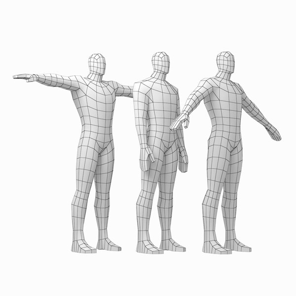 3d male anatomy model