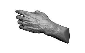hands male man model