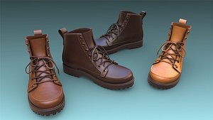 3D shoe boot footwear