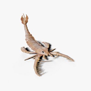 Jaekelopterus sea scorpion 3d Model