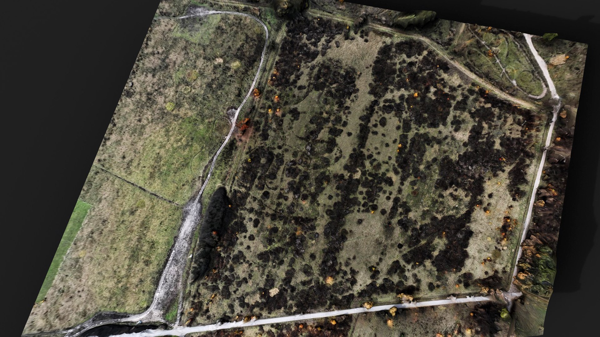 landscape bushes fields terrain patch 3 PBR photogrammetry model https://p.turbosquid.com/ts-thumb/9q/eMGU78/HC/preview6/jpg/1762425297/1920x1080/fit_q87/b5d80cdeb38c413ffd51c440b86d7a9719b4b085/preview6.jpg