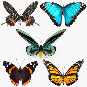 Rigged Butterflies Collection 4 for Cinema 4D 3D