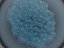 Stem Cell