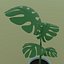 植物