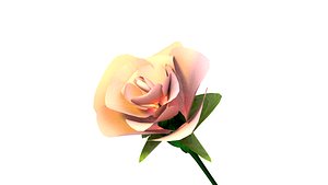 pink rose flower 3D model