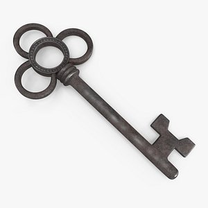 Traditional Skeleton Key Steel 3D model