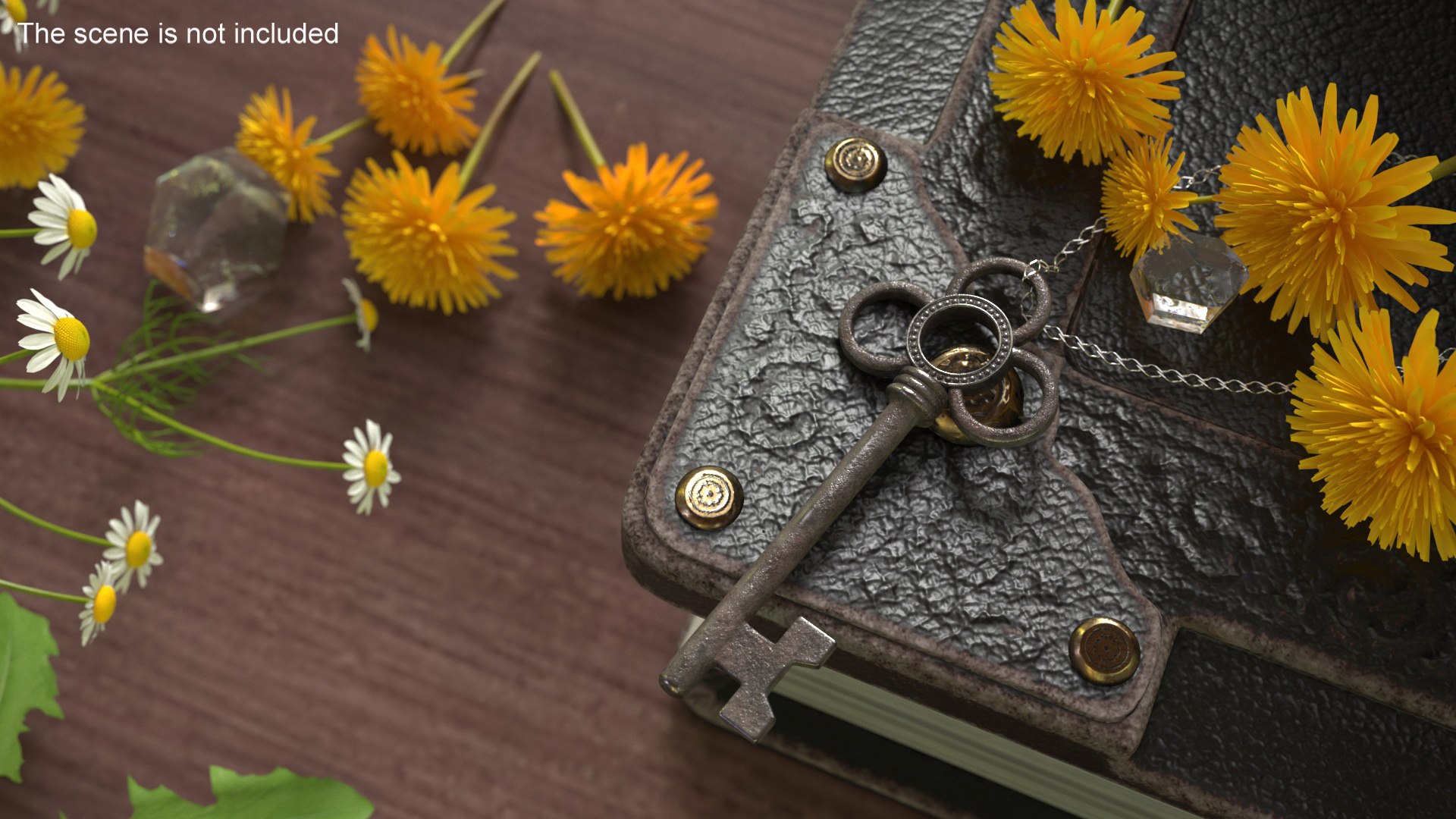 Traditional Skeleton Key Steel 3D Model - TurboSquid 2246317