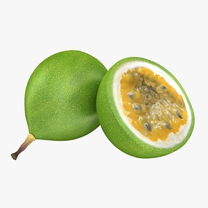 3d model realistic passion fruit green