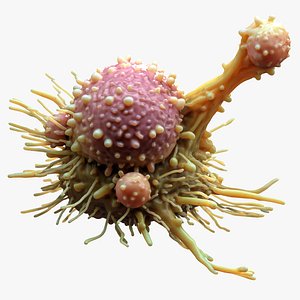 Cancer Cell Tumor 3D model