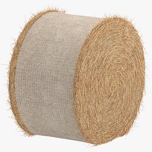 Hay Bales 02 Solid and Debris 3D model