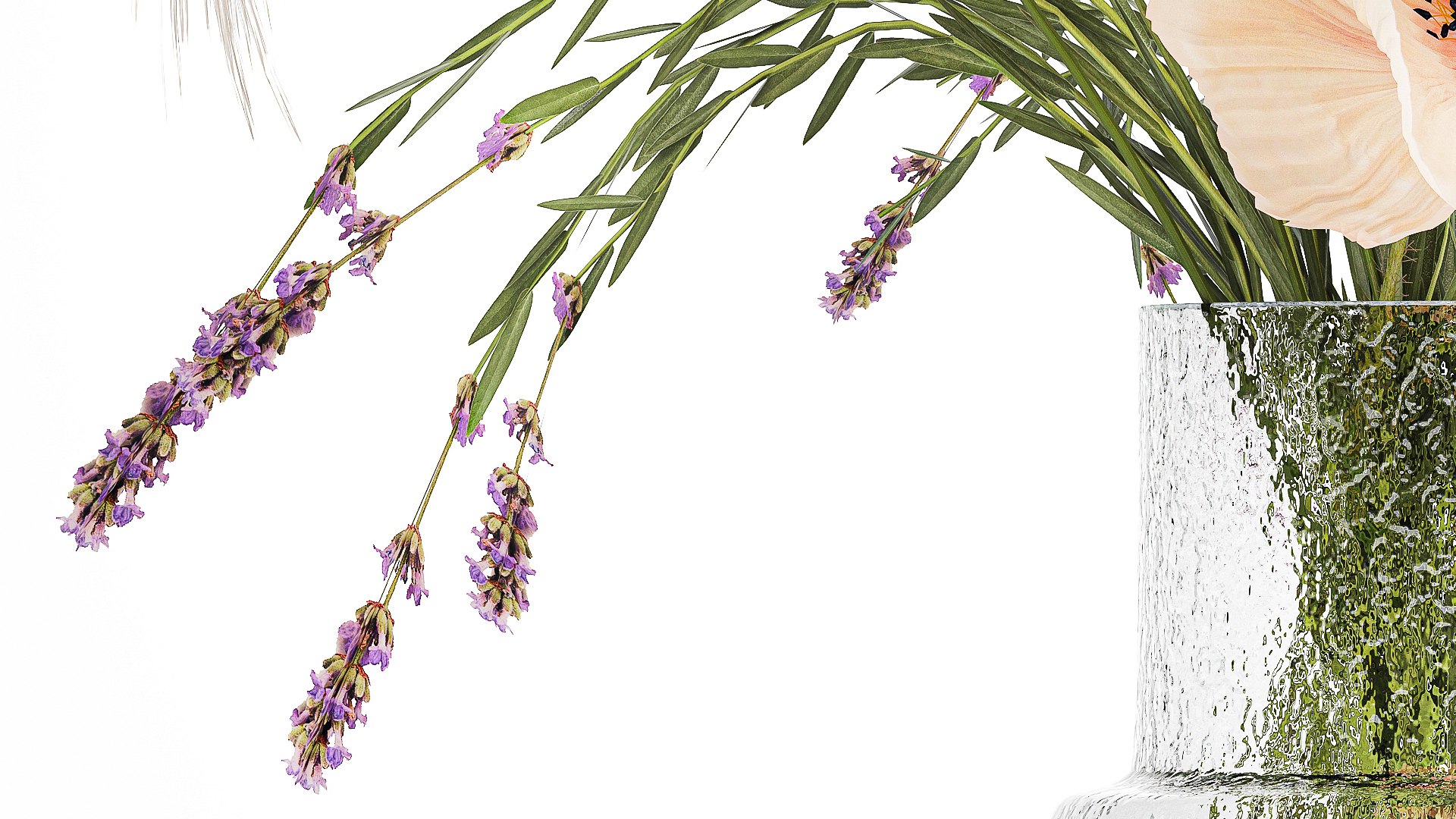 Bouquet Of Wild Flowers Of Lavender Poppy Pampas 534 3D https://p.turbosquid.com/ts-thumb/9r/OjbGFU/YC/1bouquetofflowers310307/jpg/1743509875/1920x1080/fit_q87/9de726446608c524b43e04a78c84ab6bf5035abc/1bouquetofflowers310307.jpg