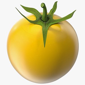 Yellow Cherry Tomato model