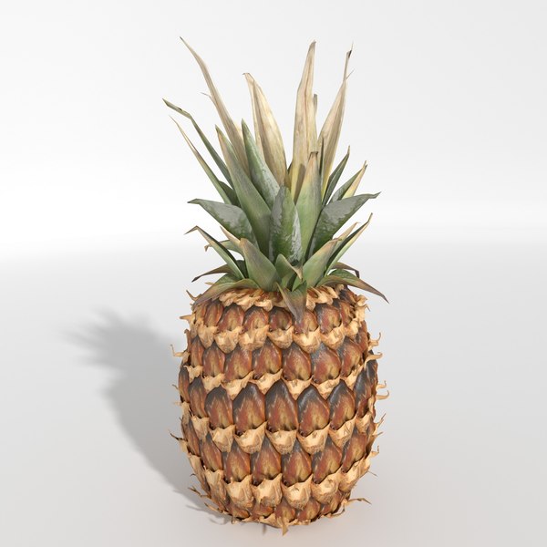 modelo 3d Piña realista - TurboSquid 969146
