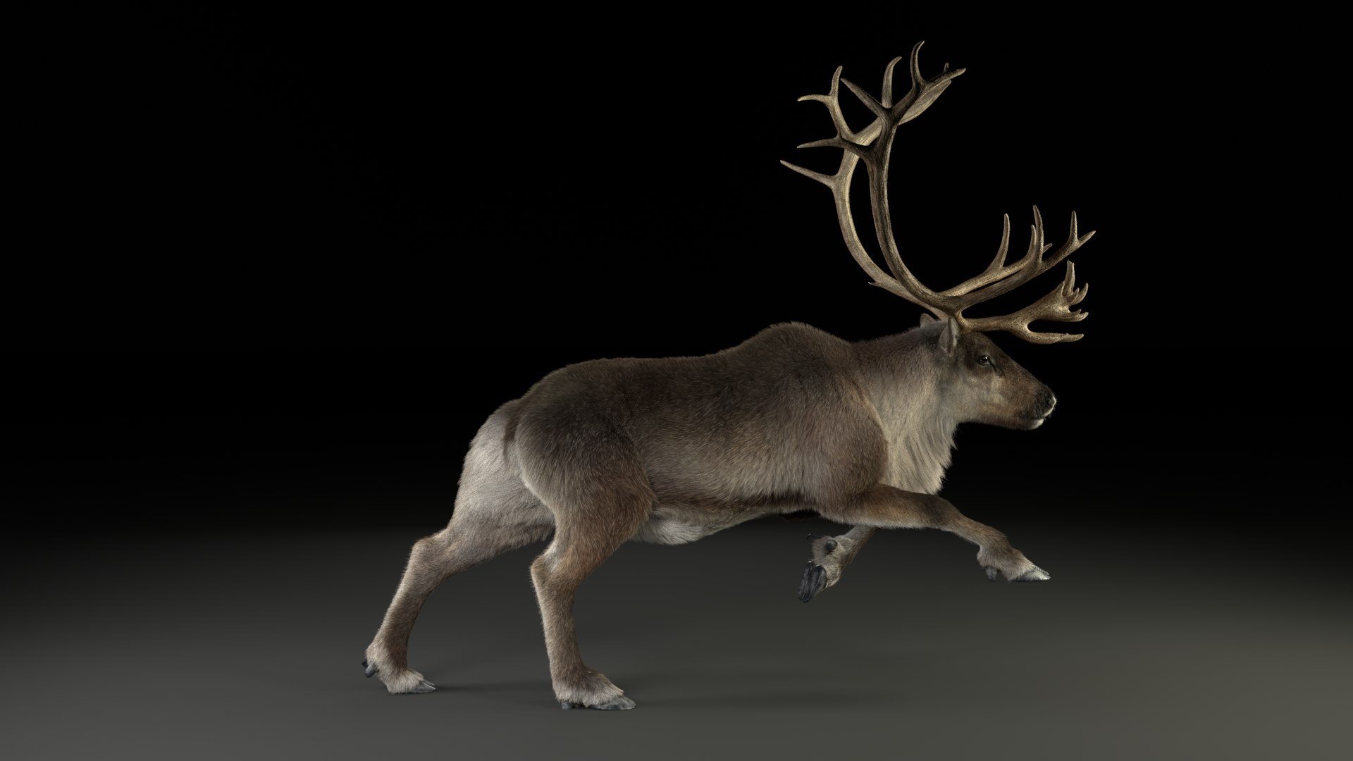 reindeer animation female male 3D https://p.turbosquid.com/ts-thumb/9r/ZLclqN/4be5ElEz/reindeer_male_effectmap02/png/1602877315/1920x1080/fit_q87/4878ab86ba0e0c1f8922708f276d04370c2d9fdc/reindeer_male_effectmap02.jpg
