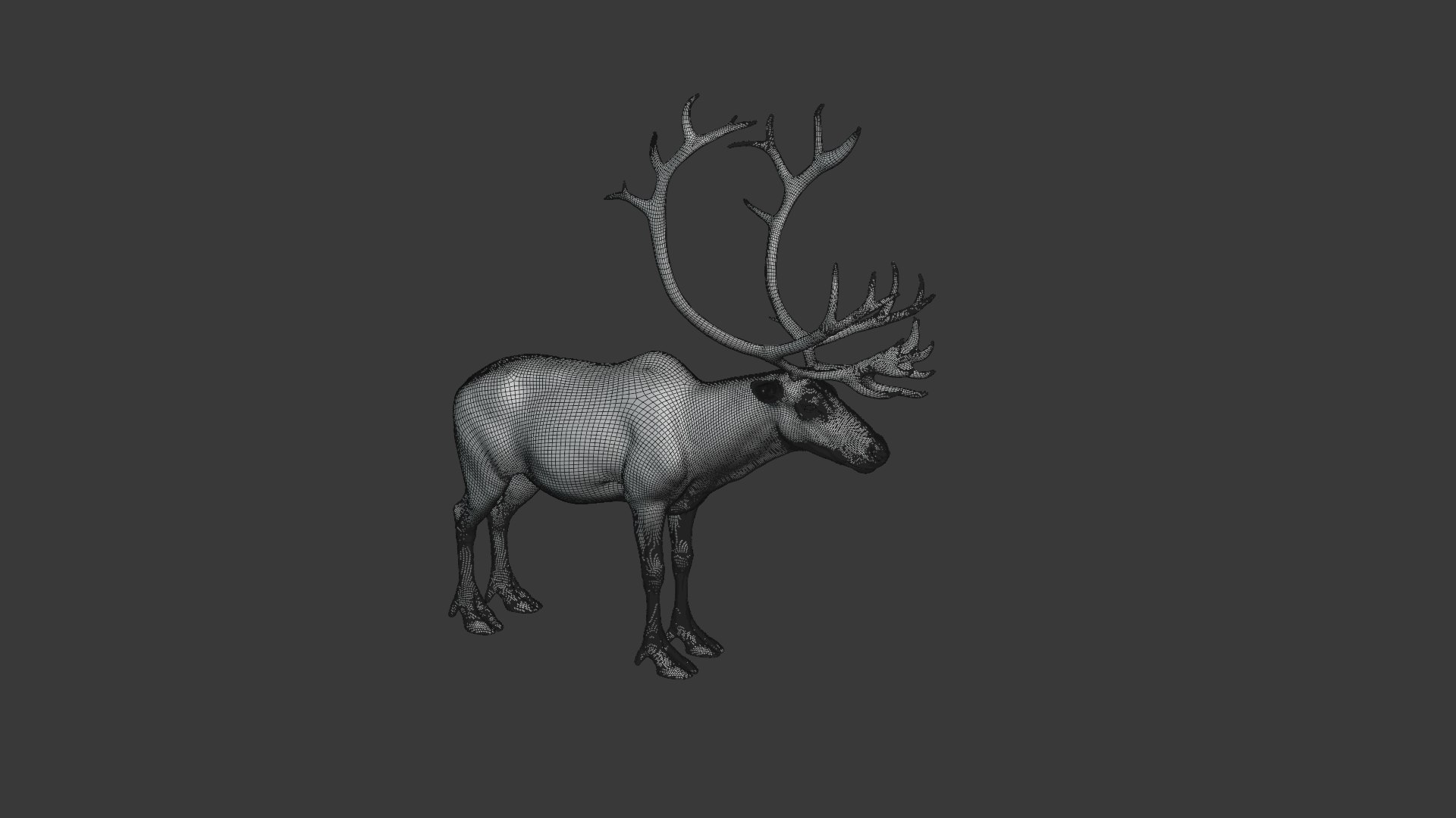 reindeer animation female male 3D https://p.turbosquid.com/ts-thumb/9r/ZLclqN/7zUuy5YK/reindeer_male_wire01_2/png/1602877316/1920x1080/fit_q87/fcb9d078f20cdca98b0c9353c14ca8d4bd035360/reindeer_male_wire01_2.jpg