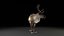 reindeer animation female male 3D