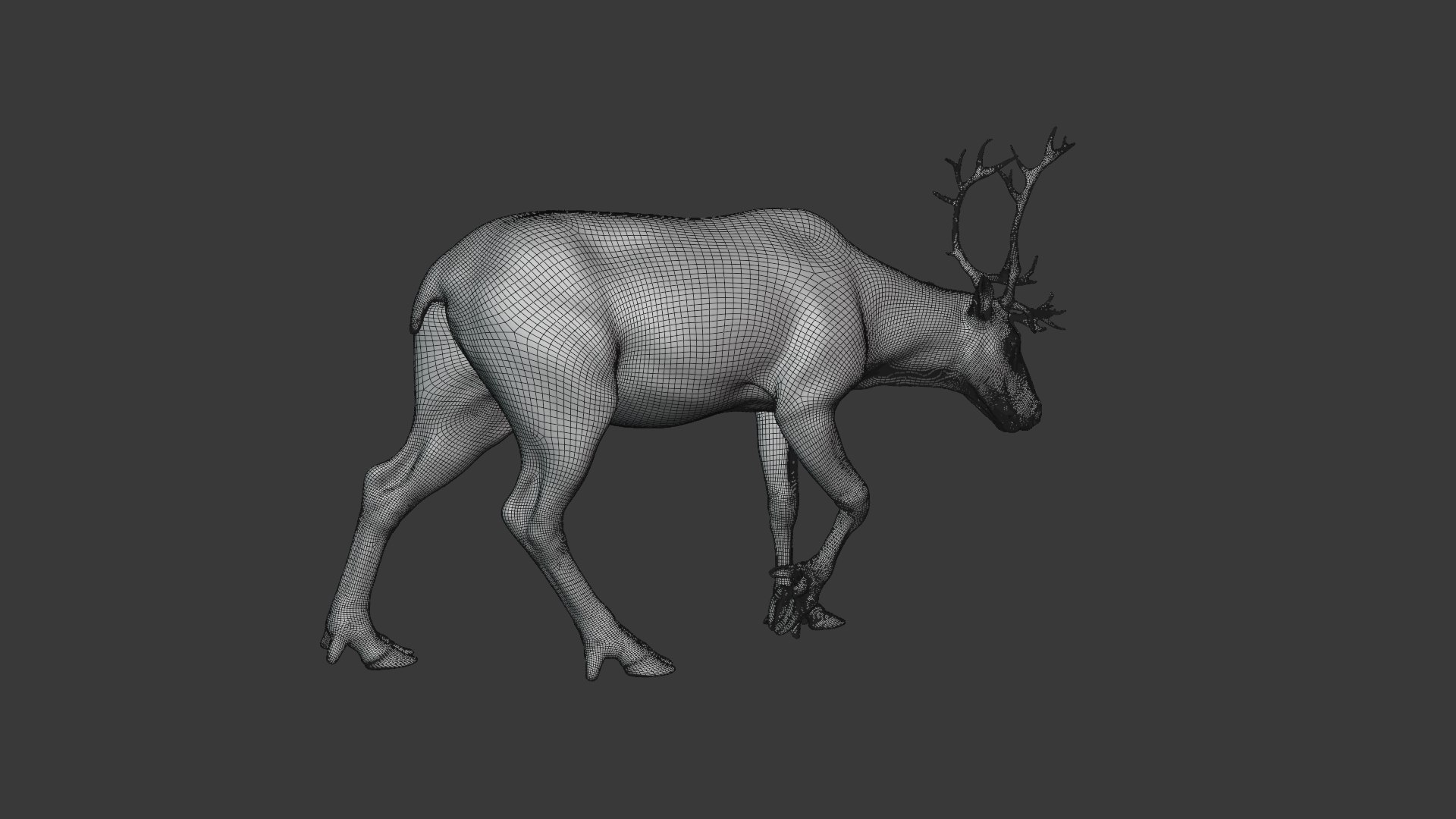 reindeer animation female male 3D https://p.turbosquid.com/ts-thumb/9r/ZLclqN/phhcfwGh/reindeer_female_wire03_2/png/1602877307/1920x1080/fit_q87/c5992870c225f601a7553a9e5d165fe313d80781/reindeer_female_wire03_2.jpg