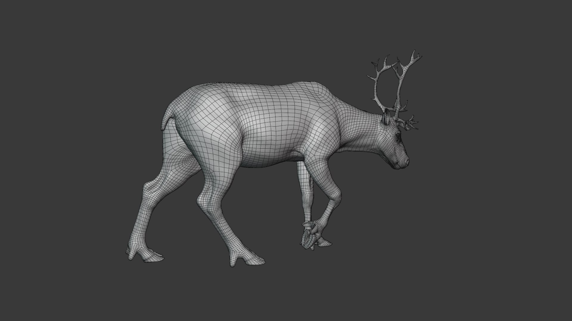 reindeer animation female male 3D https://p.turbosquid.com/ts-thumb/9r/ZLclqN/qRrm2Tl9/reindeer_female_wire03_1/png/1602877304/1920x1080/fit_q87/17d2c54507ed9ce7d71208b2a5925d48bb34b5ae/reindeer_female_wire03_1.jpg