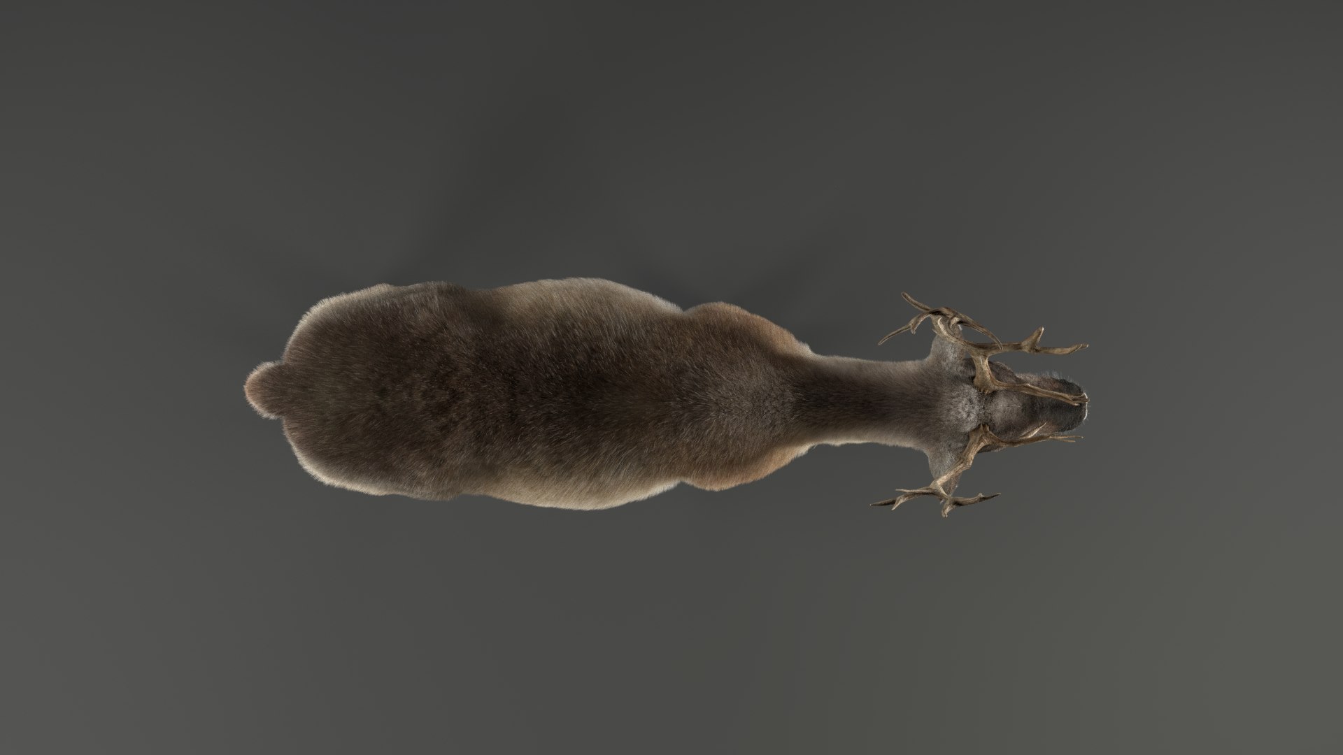 reindeer animation female male 3D https://p.turbosquid.com/ts-thumb/9r/ZLclqN/zApGVGqt/reindeer_female_effectmap01/png/1602877308/1920x1080/fit_q87/43d60a16df72a76f4cd29c730980576c1a9c4d2f/reindeer_female_effectmap01.jpg