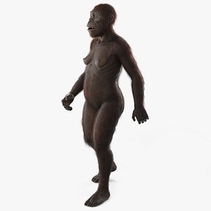 Australopithecus Woman Educational Figure Black Fur Rigged