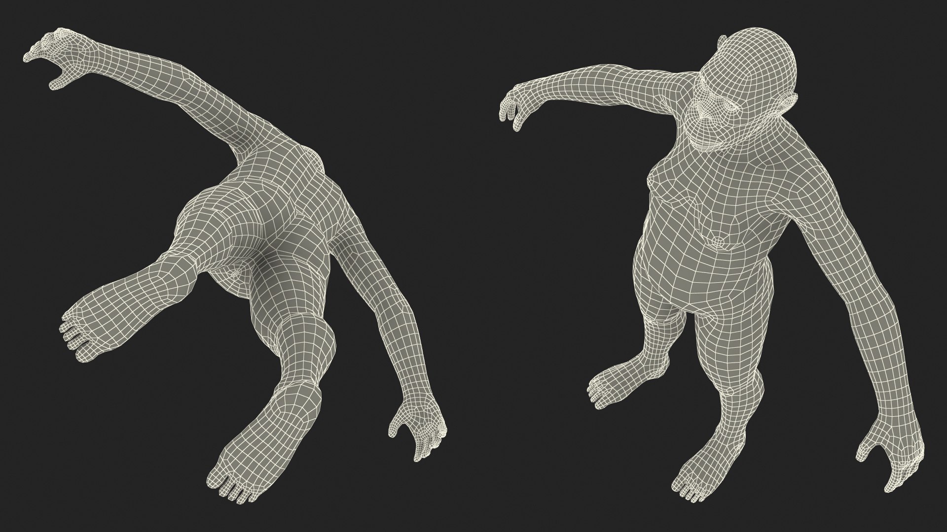 3D Australopithecus Woman Educational Figure Black Fur Rigged https://p.turbosquid.com/ts-thumb/9r/fIdbTS/mK/australopithecus_woman_educational_figure_black_fur_rigged_022/jpg/1752624104/1920x1080/fit_q87/4ae5f11646204e5e5fa82e6125662c4c3f9a4393/australopithecus_woman_educational_figure_black_fur_rigged_022.jpg